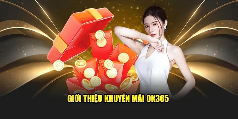 Đôi nét về khuyến mãi tại nhà cái OK365